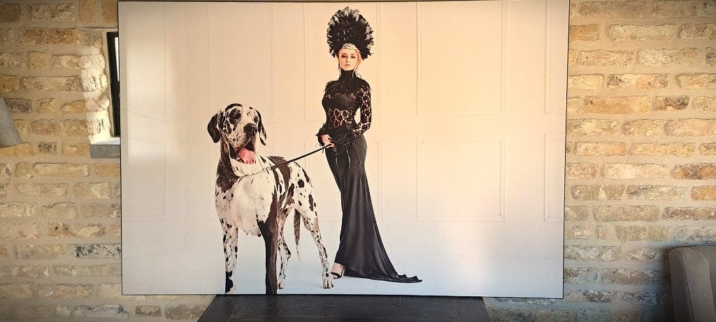 Kunst, Ophalen, Overige stijlen, Doek, Dieren