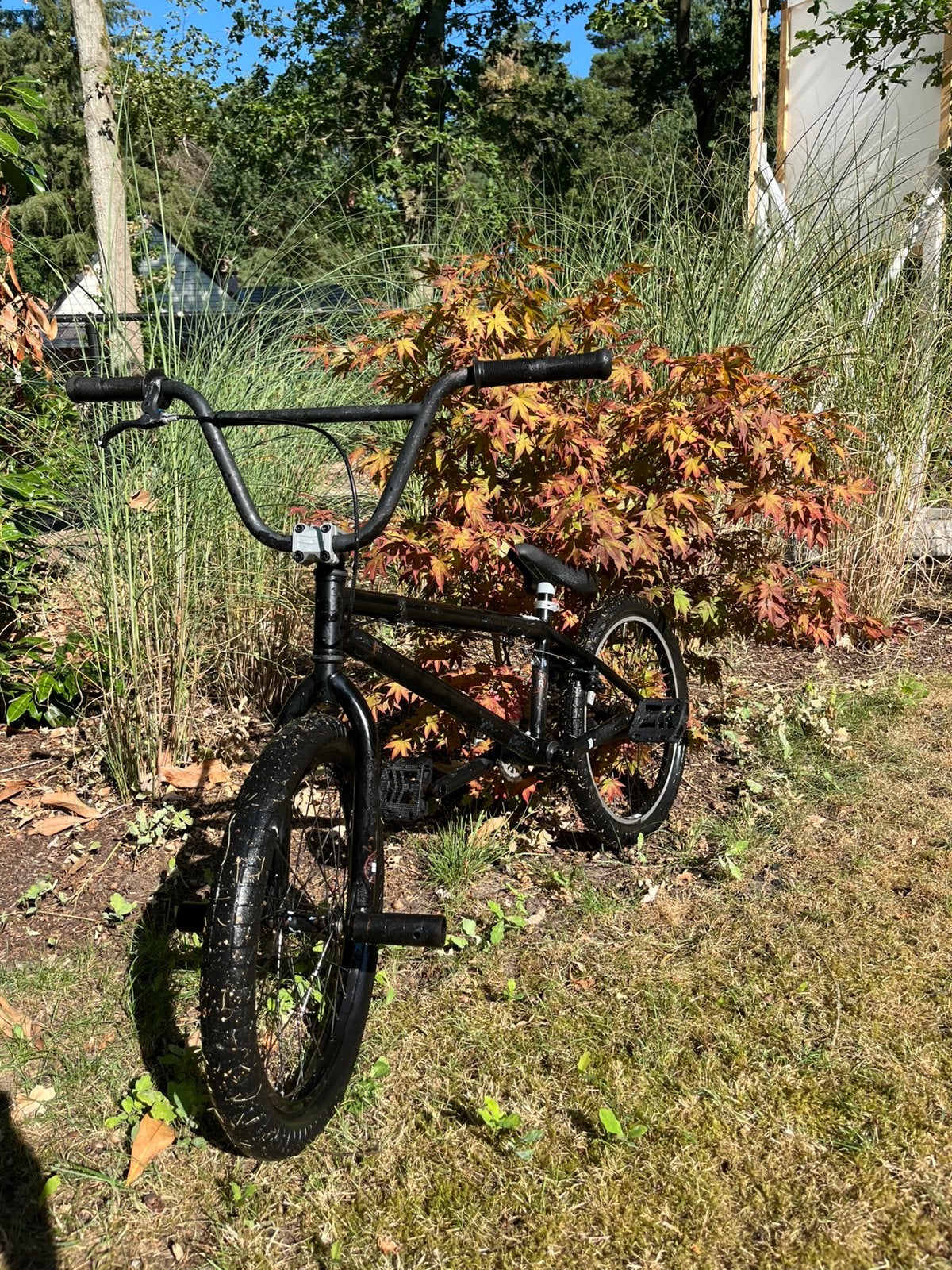Haro bmx, Ophalen, Gebruikt, Staal, Velgrem