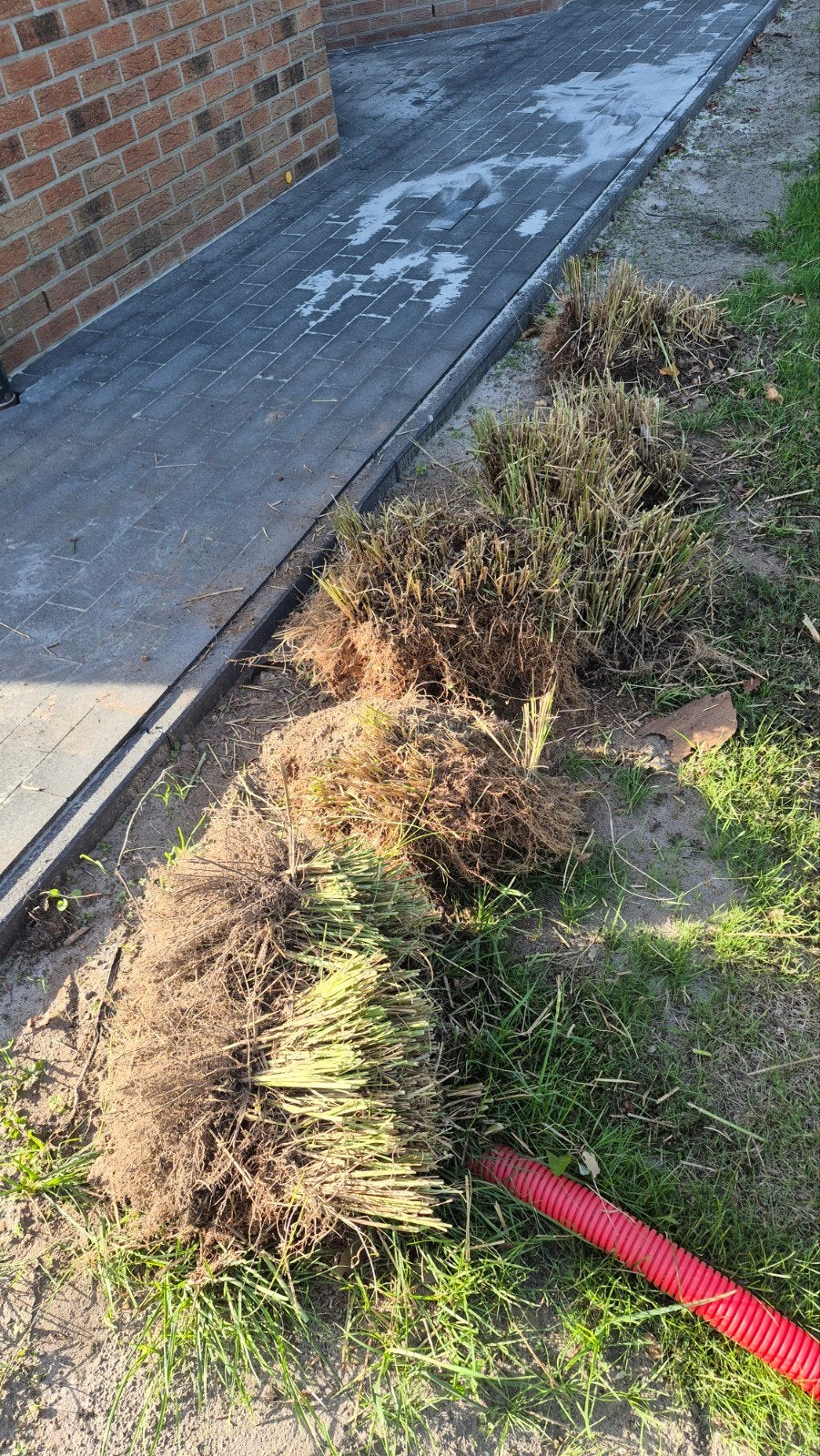 Riet, Tuin en Terras, Ophalen