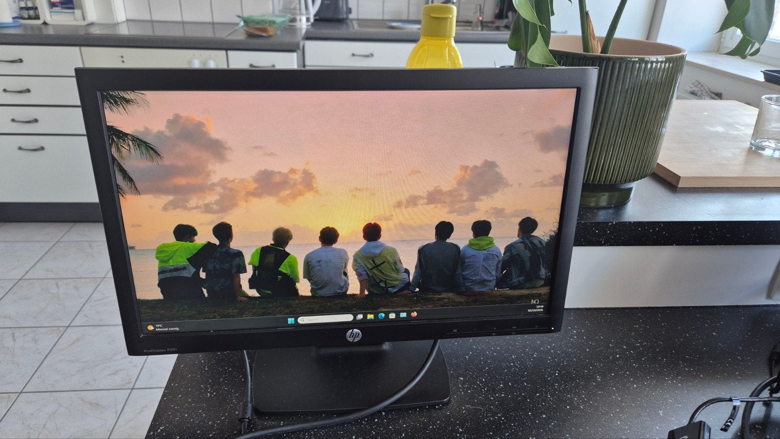 HP ProDisplay P201 Monitor, Ophalen, Hp, 3 tot 5 ms, TN