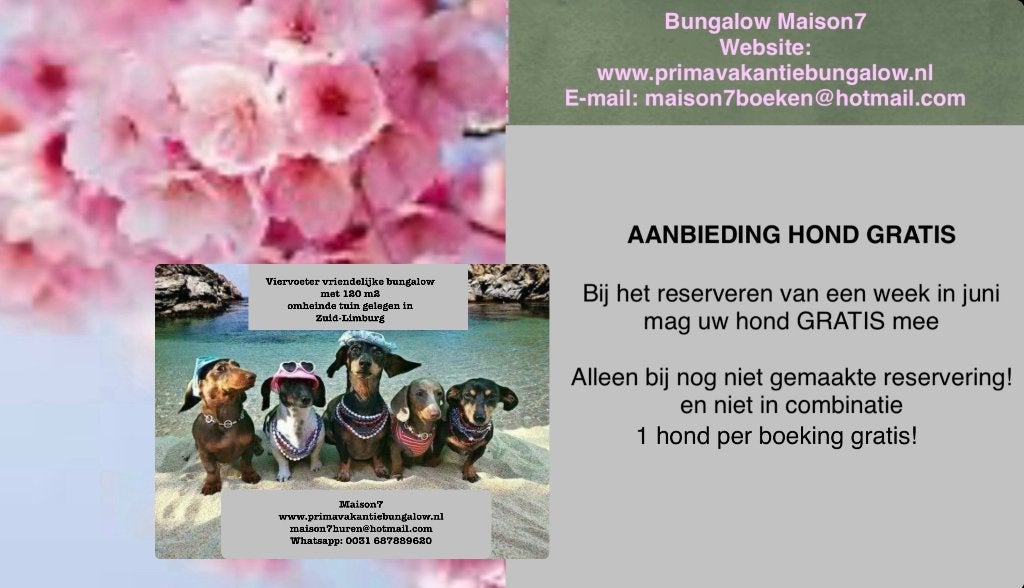 De hond gratis mee op vakantie in omheinde bungalow Limburg, Tickets en Kaartjes