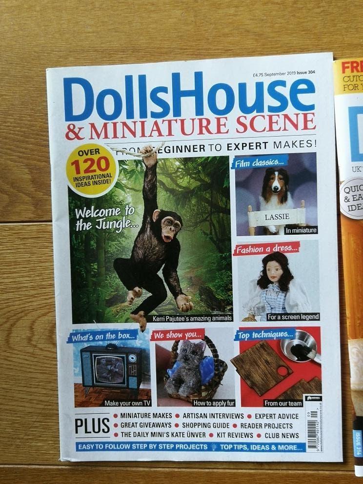 14 magazines Dolls House - neufs/comme neufs, Enlèvement ou Envoi, Neuf, Autres types
