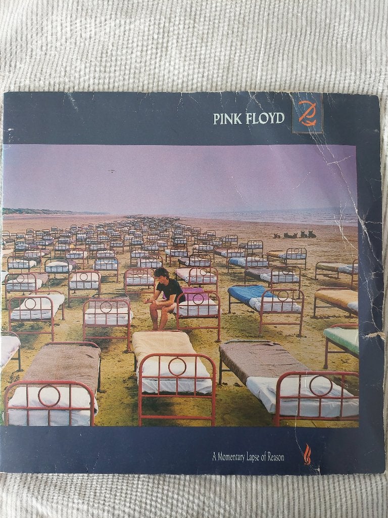 Pink Floyd - Une erreur de raison momentanée, Enlèvement ou Envoi, Rock 'n' roll, Utilisé, Housse de protection extérieure
