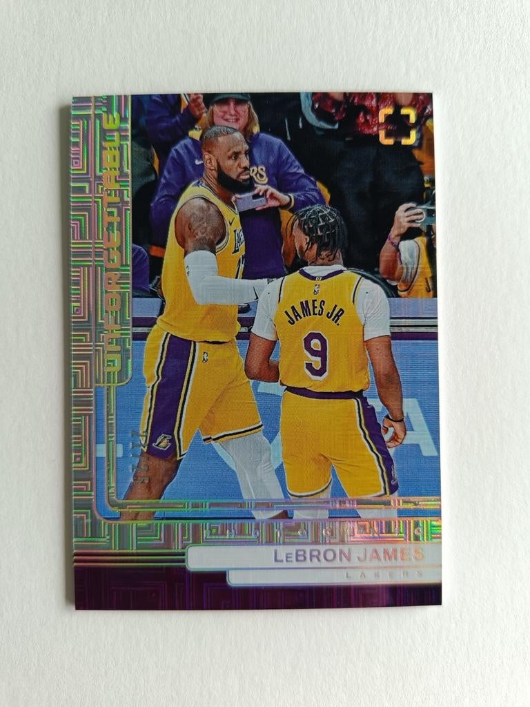 2020-02-25 Panini Fotogeniek LeBron James, Ophalen of Verzenden