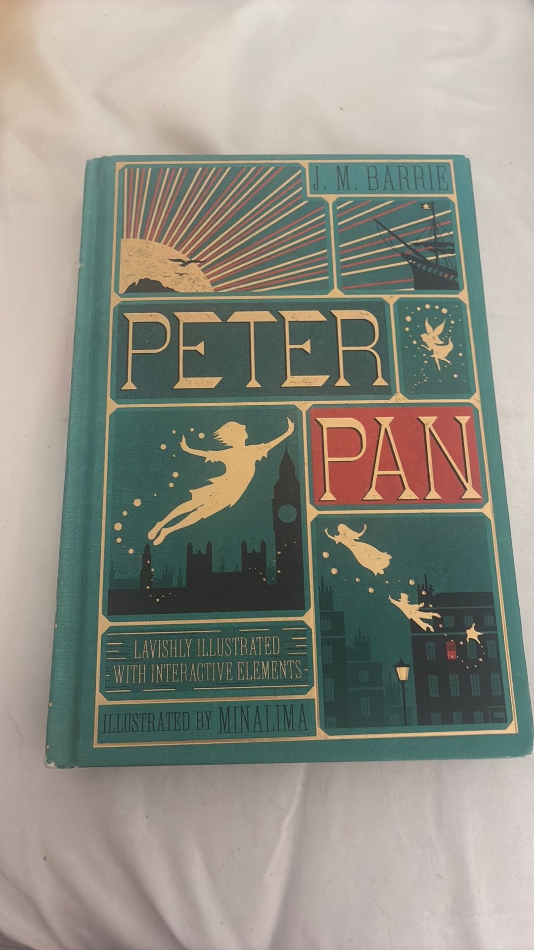 prachtig boek peter pan, Boeken, Ophalen of Verzenden, Zo goed als nieuw