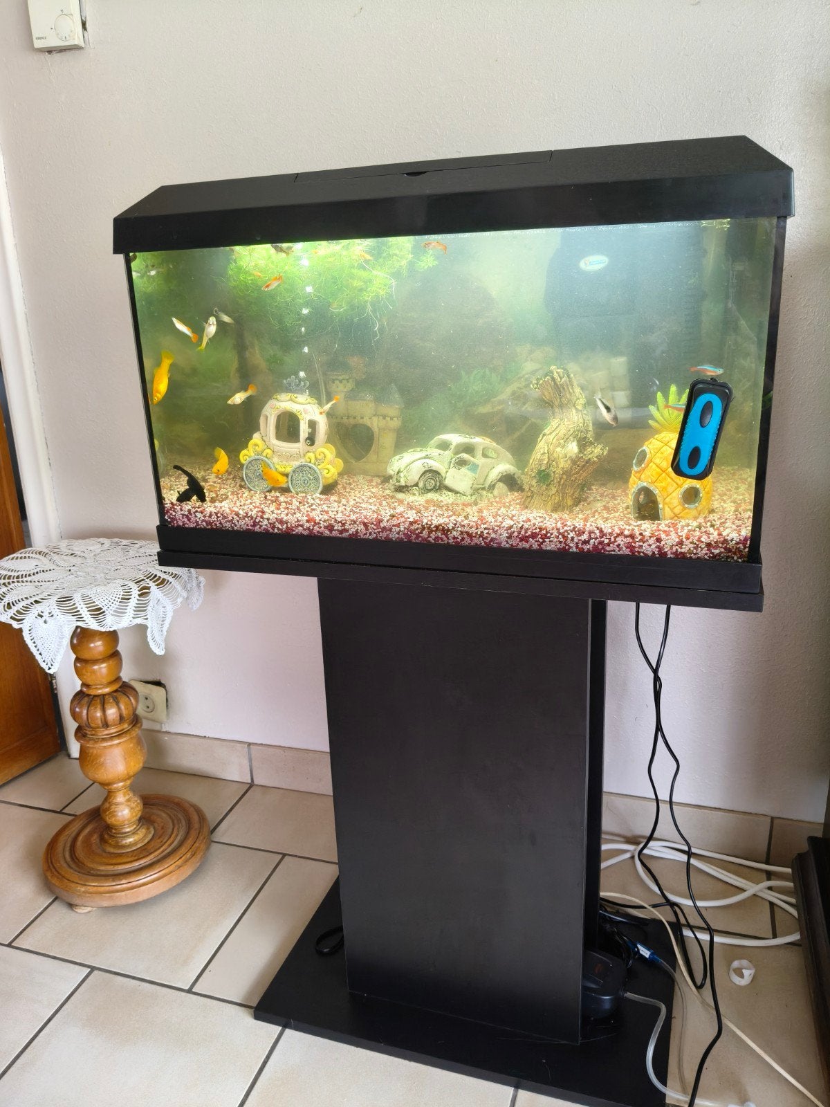Visbak, Dieren en Toebehoren, Ophalen