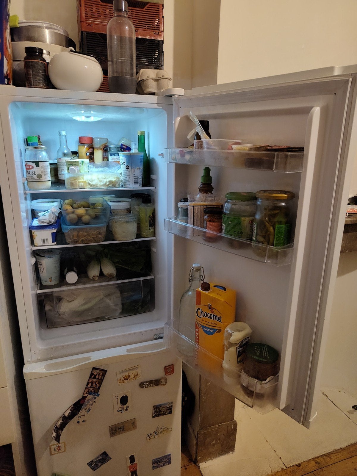 Proline frigo/diepvries, Elektronische apparatuur, Ophalen, Gebruikt, 140 tot 160 cm, 45 tot 60 cm