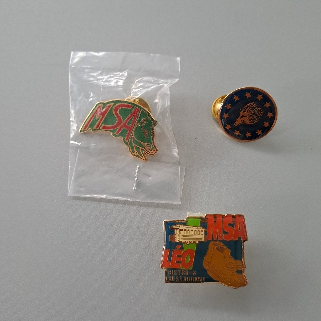 Pins de la Marche du Souvenir et de l'Amitié, Collections, Broches, Pins & Badges, Enlèvement ou Envoi