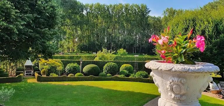 Poolse tuinman – onderhoud & aanleg | Betrouwbaar en snel, Diensten en Vakmensen, Bestrating