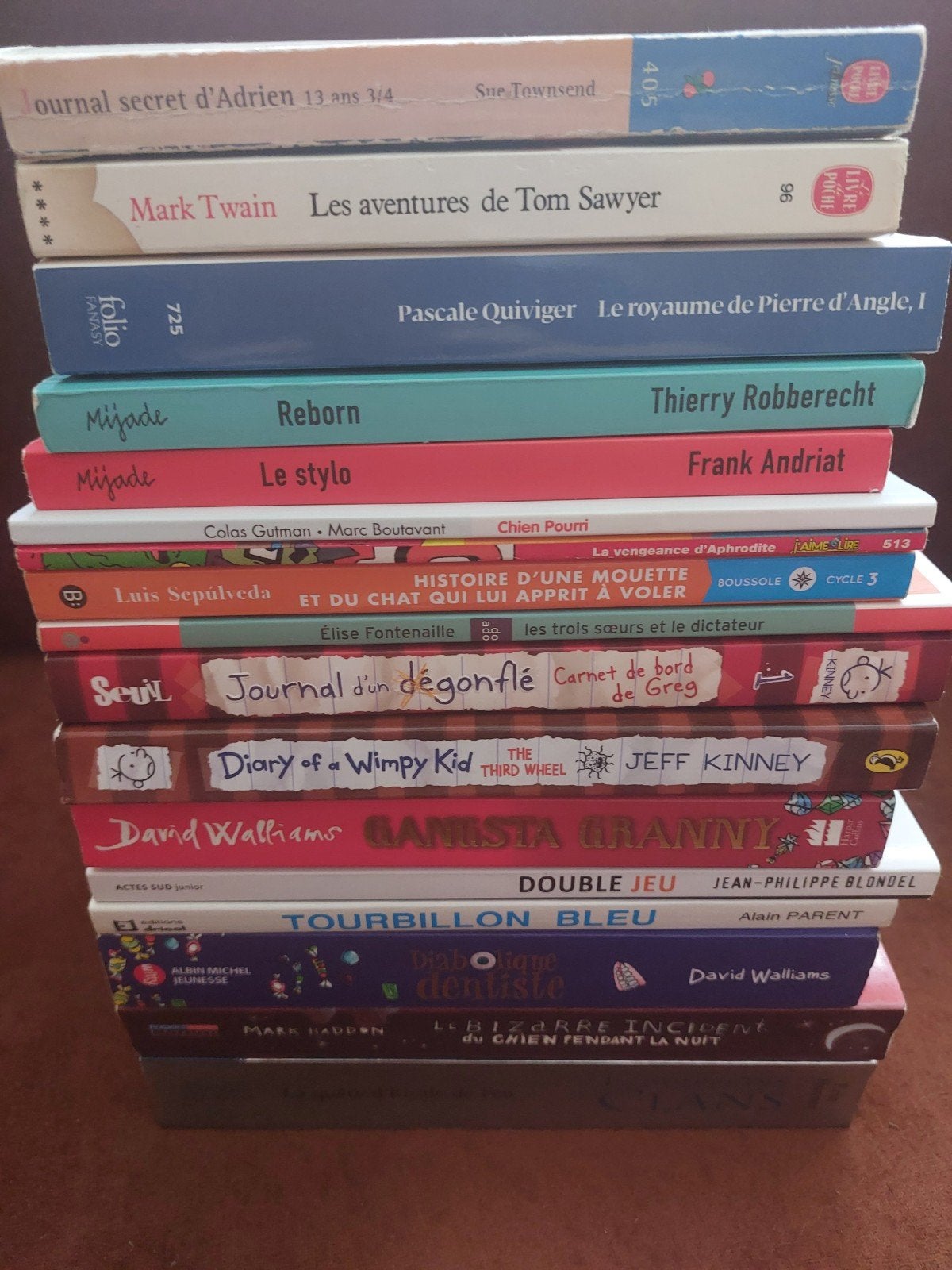 Lot de 17 livres (10 - 14 ans), Enlèvement