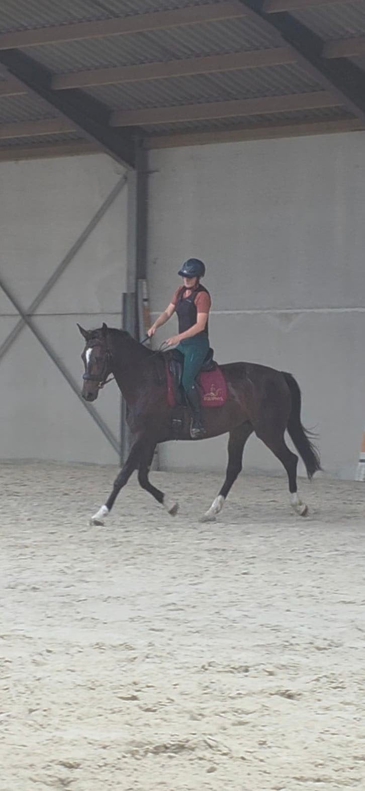 4 jarige bwp dressuurmerrie., Dieren en Toebehoren, Merrie, Dressuurpaard, 3 tot 6 jaar, 165 tot 170 cm