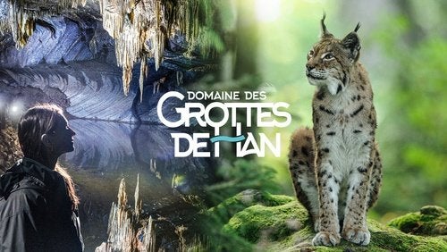 4 e-tickets pour LES GROTTES DE HAN validité 11/11, Trois personnes ou plus, Ticket ou Carte d'accès