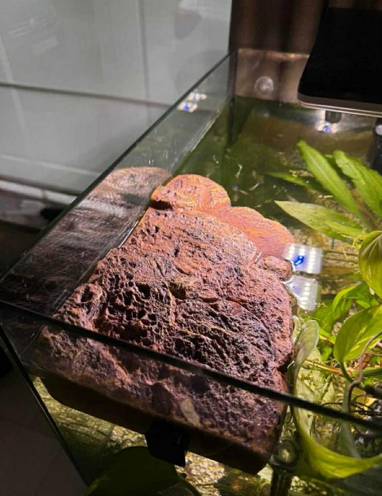 Magneetisch drijvend schildpadeiland voor aquarium, Dieren en Toebehoren, Ophalen, Inclusief toebehoren, Zo goed als nieuw, Plant(en), Steen of Hout