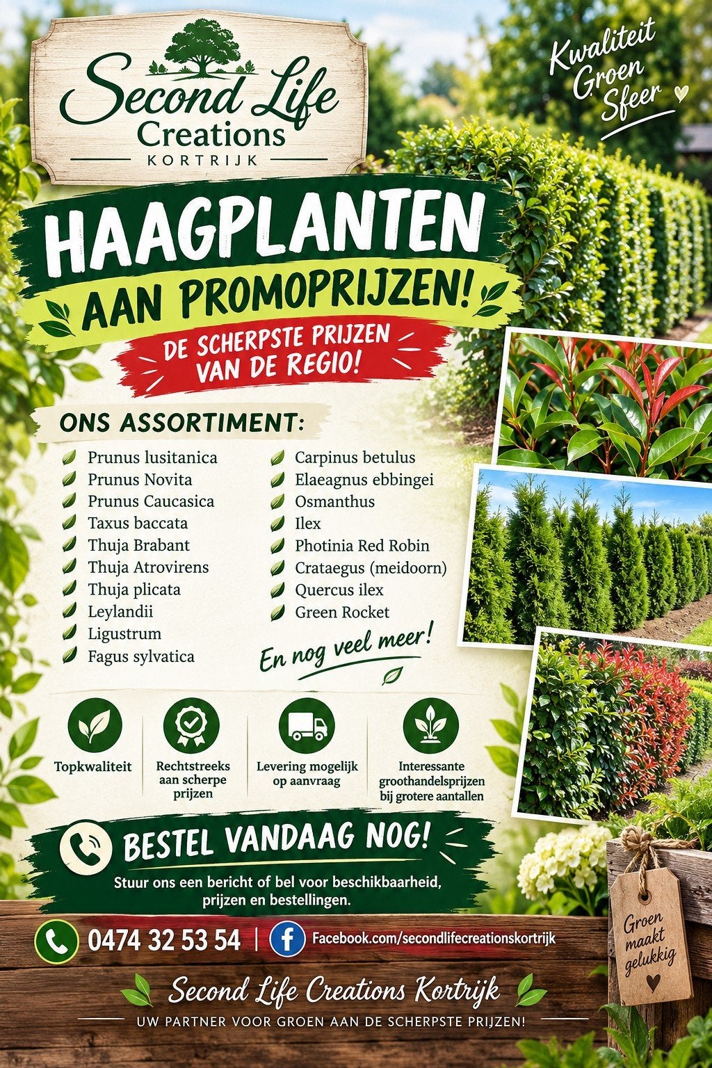 ‼️haagplanten aan stuntprijzen ‼️, Ophalen, Taxus