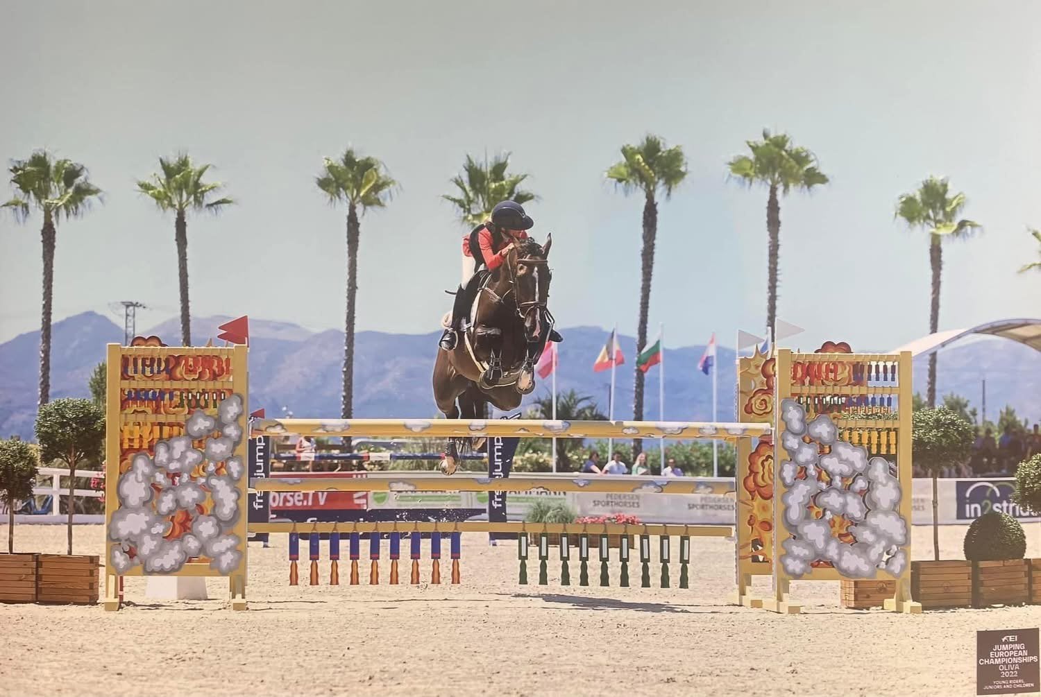 UITZONDERLIJK CHILDREN-SPORTPAARD  140 ervaring!, Hongre, Cheval de saut, Avec pedigree, 11 ans ou plus