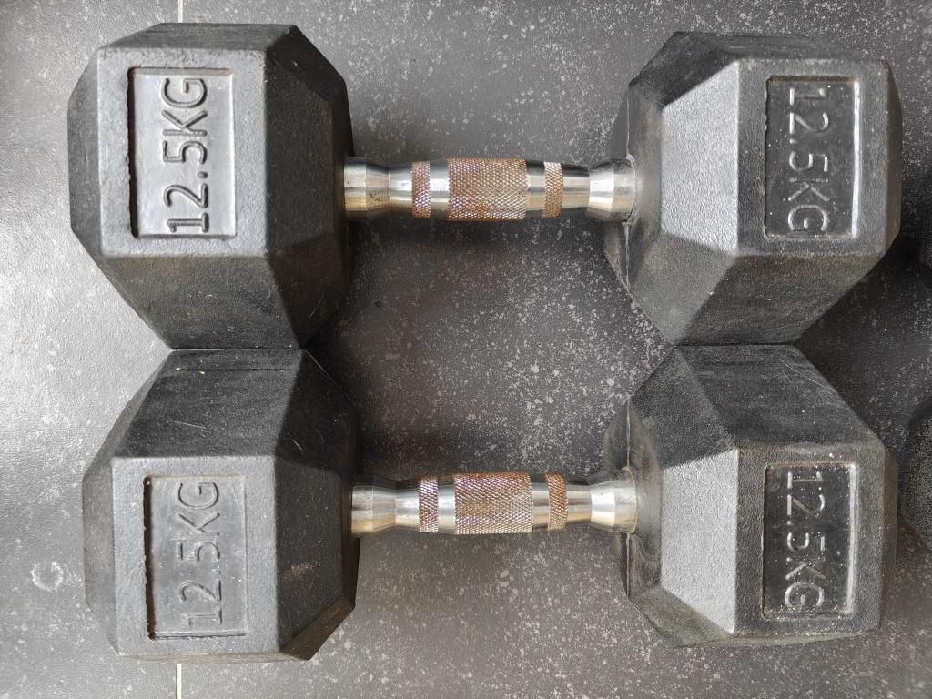 Dumbbell set 2x12,5kg, Sport en Fitness, Fitnessmaterialen, Ophalen, Zo goed als nieuw, Dumbbell