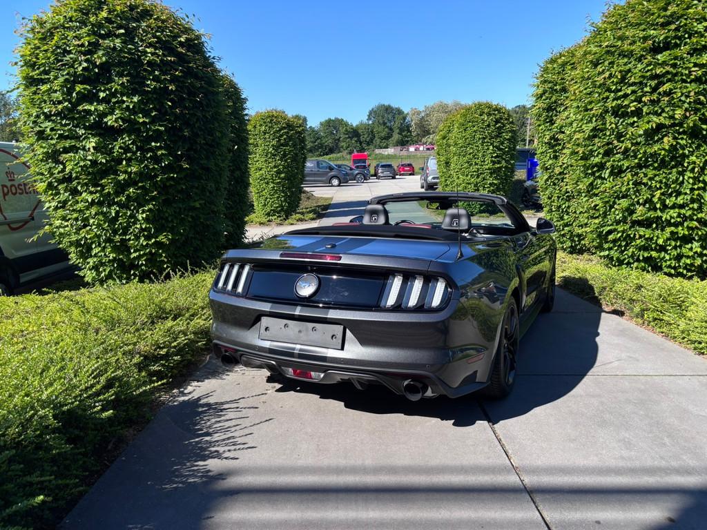 Ford Mustang Cabrio 2.3 EcoBoost Automaat | Shaker | 47.985, Autos, Ford, Cuir, Euro 6, Entreprise, Automatique