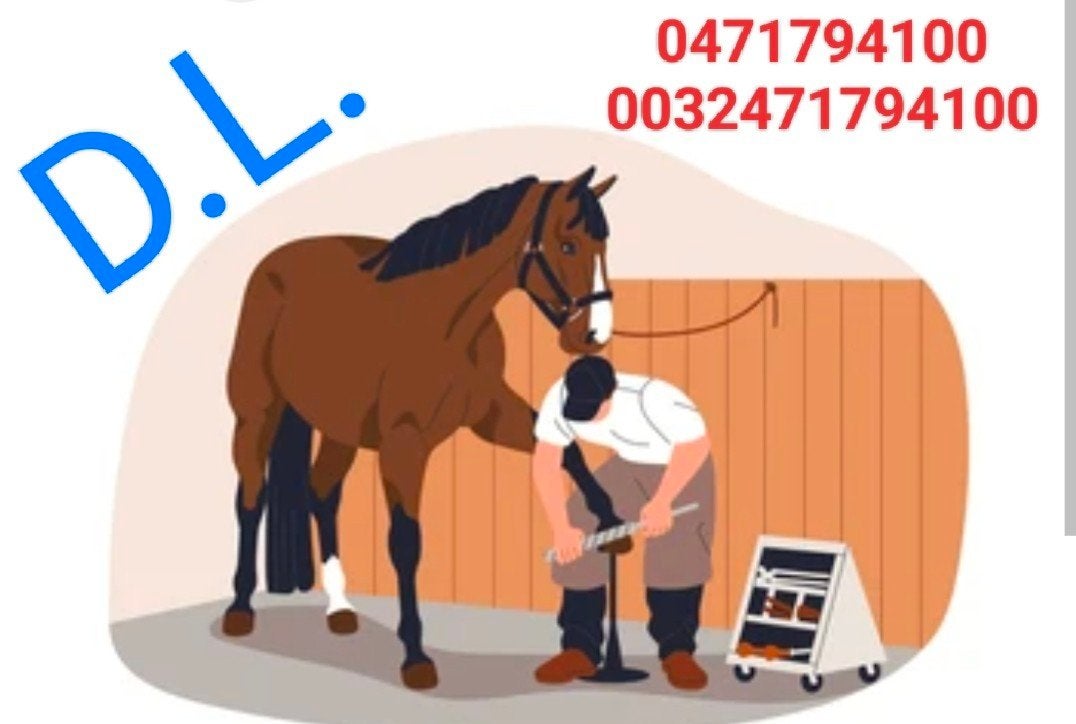 Hoof Care Limburg, Enlèvement, Soin des sabots