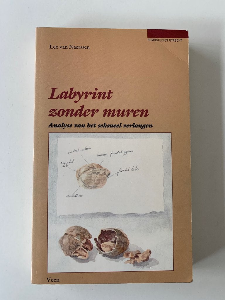 Labyrint zonder muren, Lex van Naerssen, Ophalen of Verzenden, Gelezen