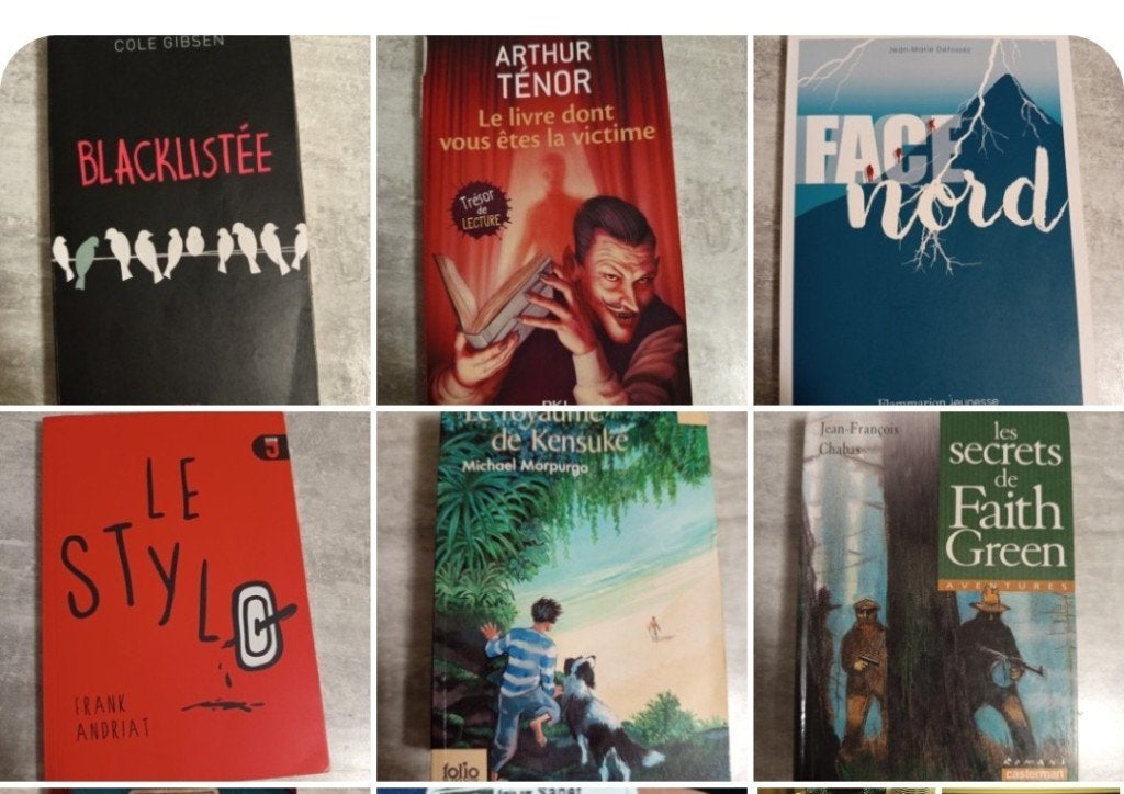Livres, Livres, Enlèvement, Comme neuf, Enseignement secondaire inférieur, Français