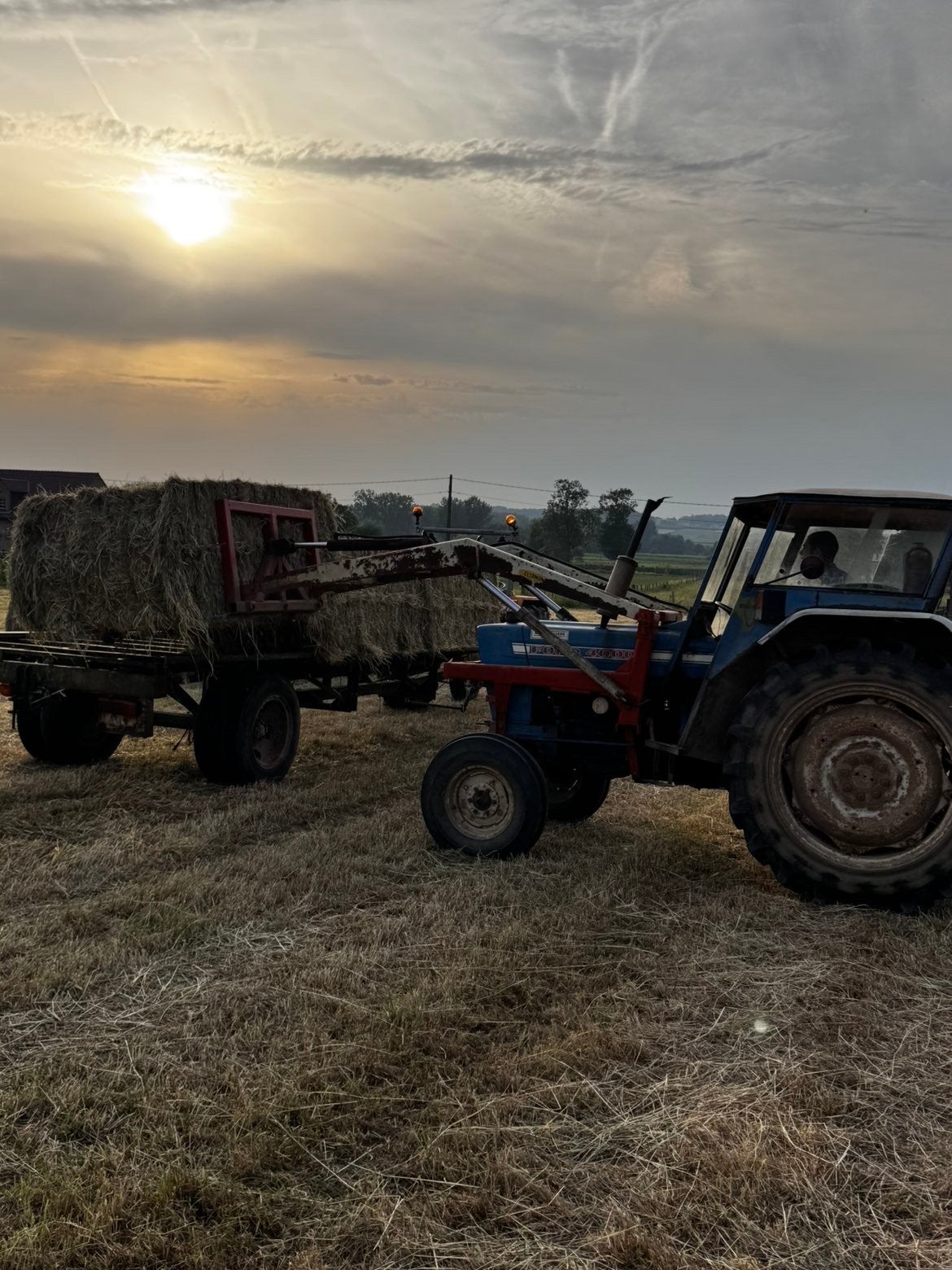 Ford 4000, Articles professionnels, Enlèvement, Ford
