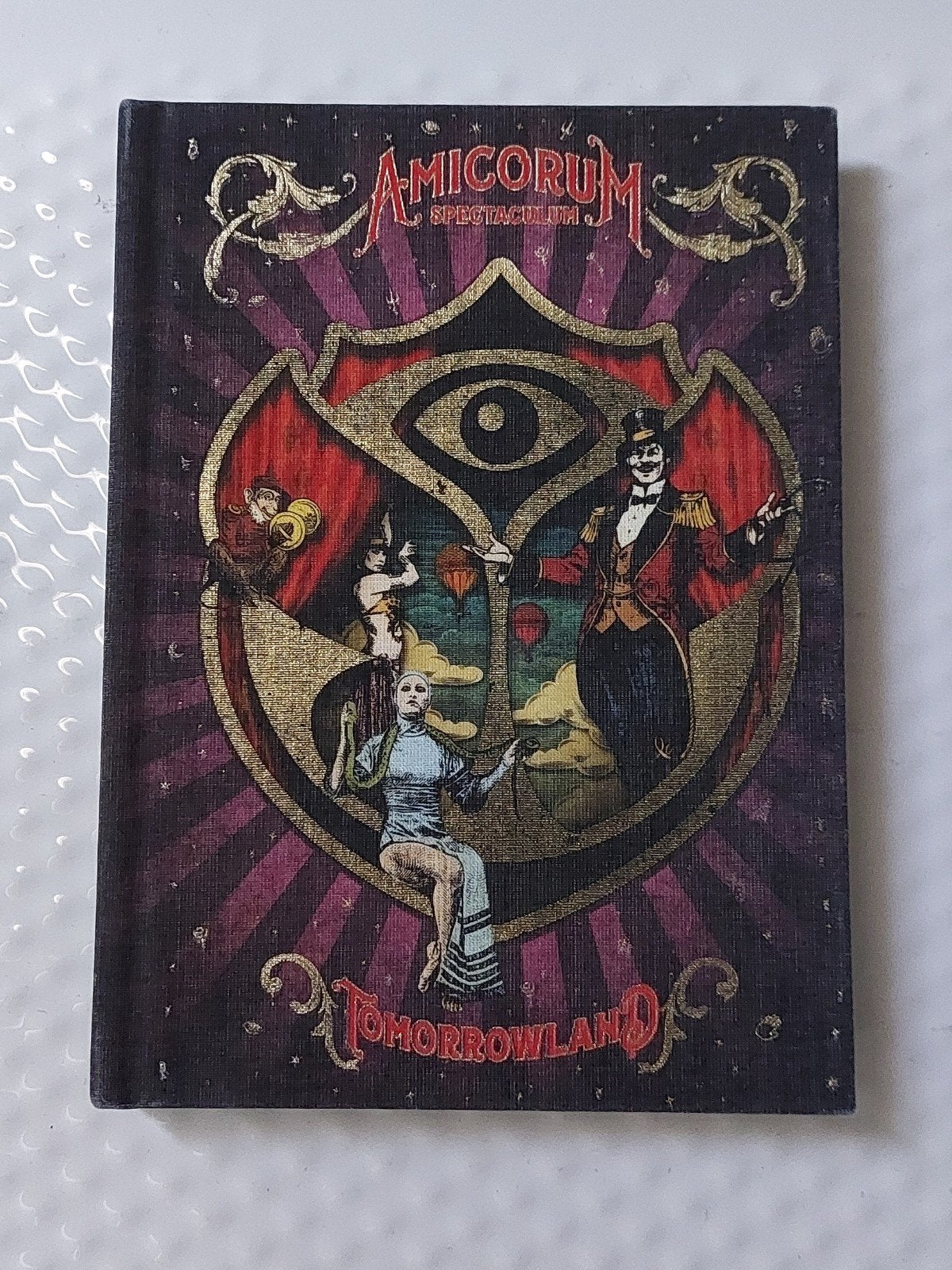 TOMORROWLAND 2017, Envoi