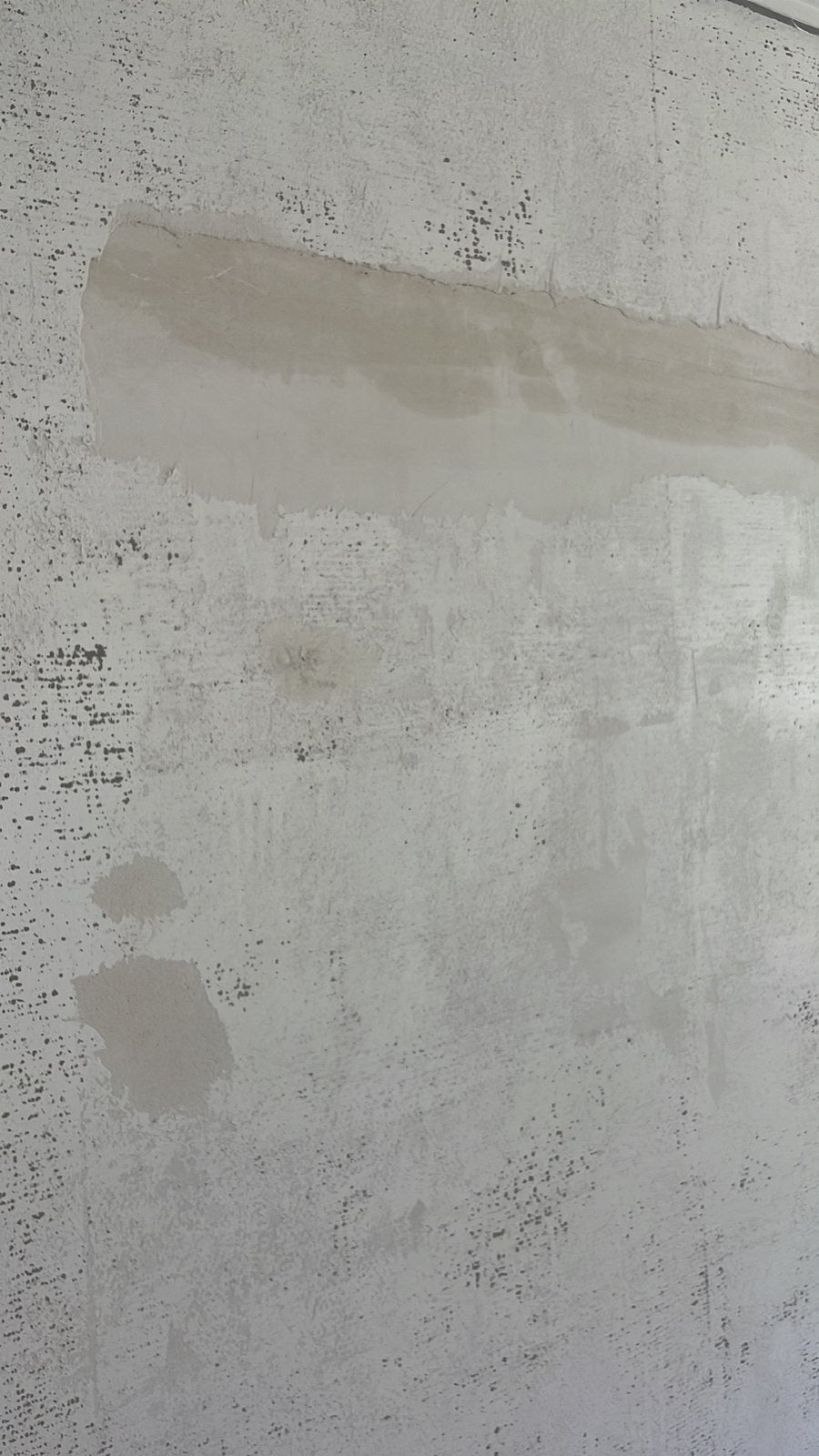 Artiste peintre de la région d'Anvers, Enlèvement
