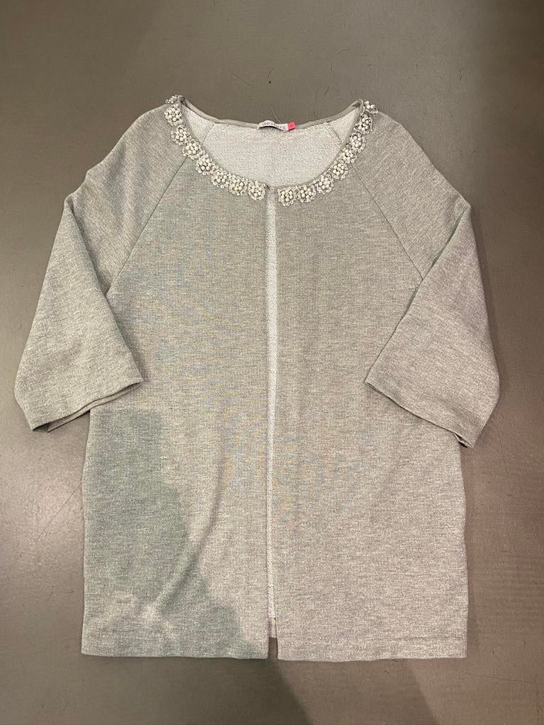 Dexters gilet Zilver grijs Maat S/M - zeer goed., Kleding | Dames, Ophalen of Verzenden, Zo goed als nieuw, Maat 36 (S), Grijs