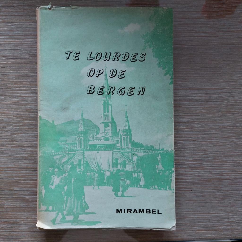 Te Lourdes op de bergen, Boeken, Ophalen of Verzenden, Zo goed als nieuw