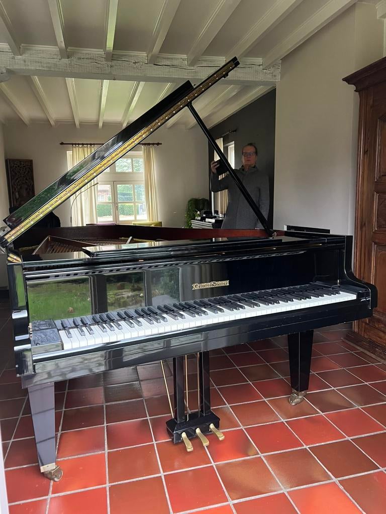 Vleugelpiano, Musique & Instruments, Pianos, Brillant, Enlèvement, Utilisé, À queue
