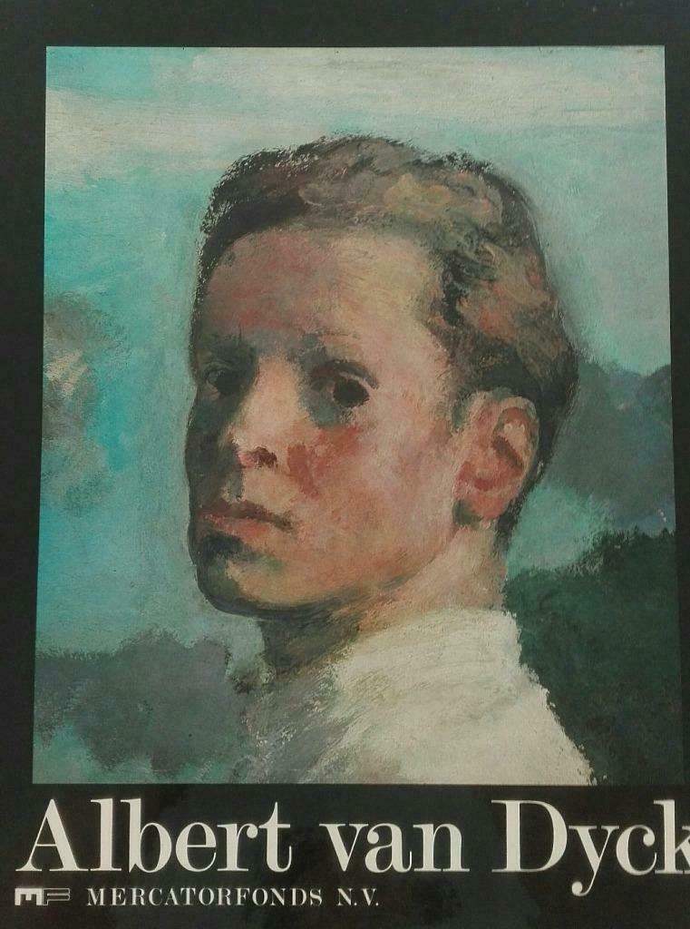 livre Abert van Dyck, Livres, Enlèvement ou Envoi, Comme neuf