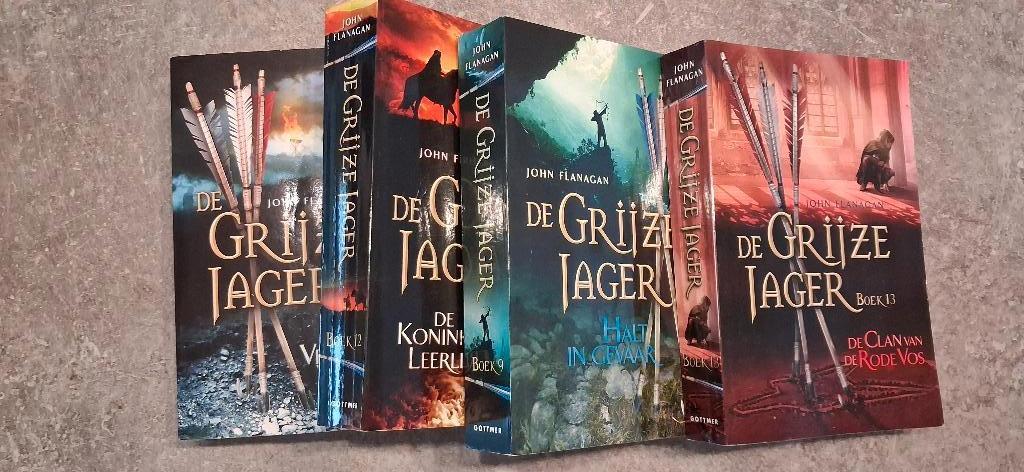 De grijze jager reeksje van 4, Boeken, Ophalen, Zo goed als nieuw, Fictie