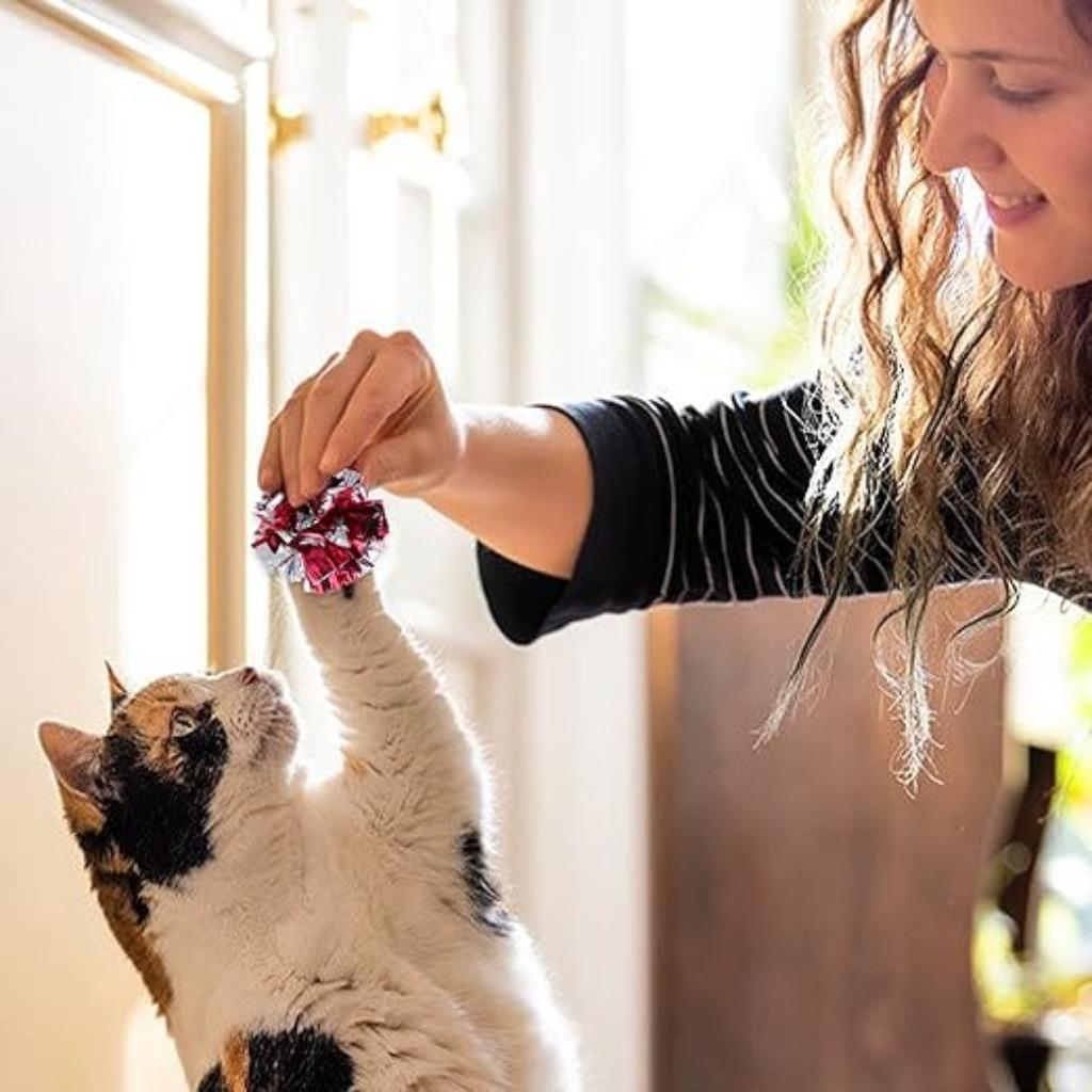 Lot de 20 boules froissées colorées pour chats FREE LIVE, Animaux & Accessoires, Jouets pour chats, Neuf, MOLAIN, -, -