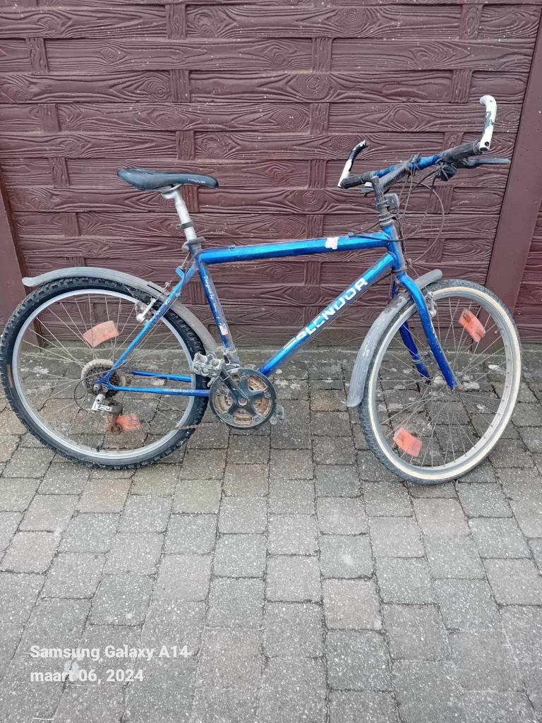 Mountain bike, Vélos & Vélomoteurs, Enlèvement, Utilisé, VTT rigide, Autres marques