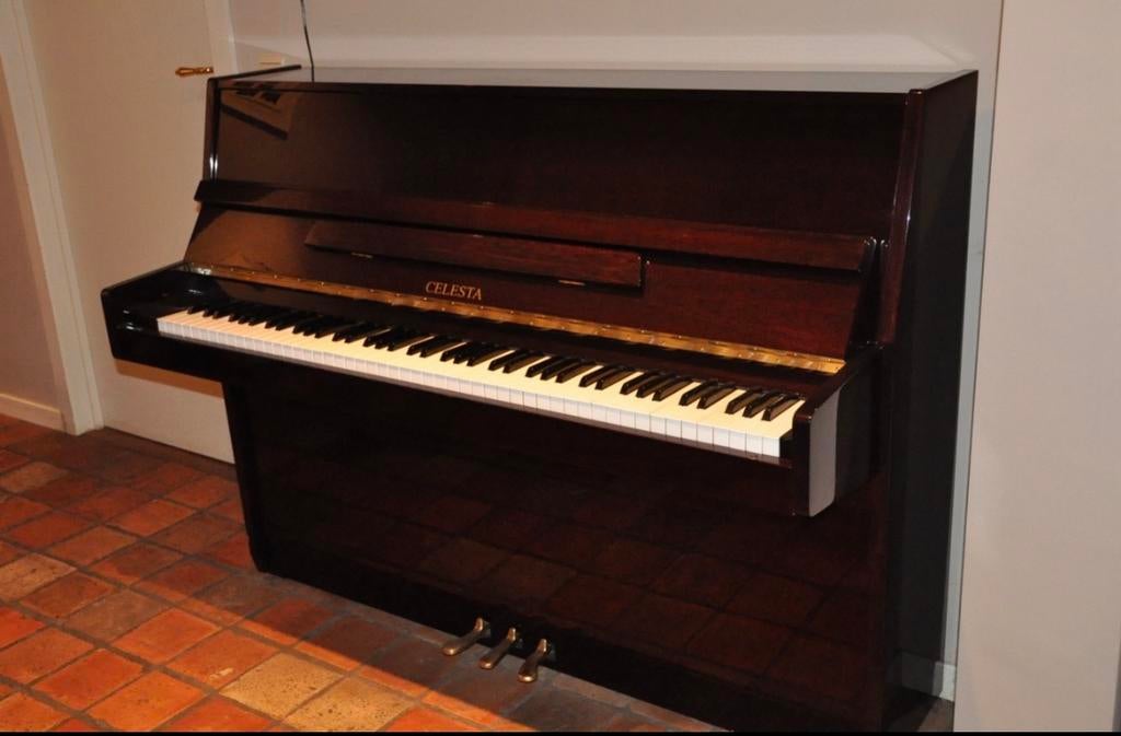 Piano Celesta, Enlèvement, Brun, Piano, Brillant