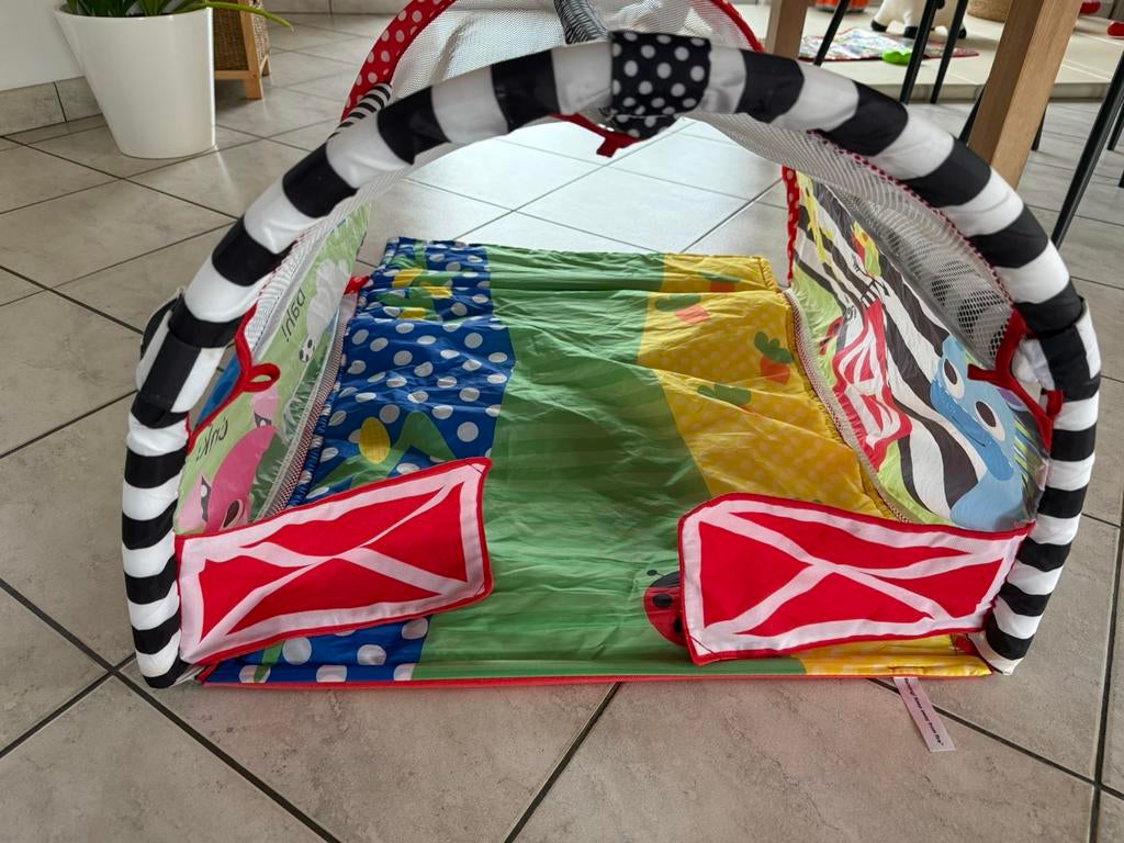Babygym/ speelmat/ kruiptunnel, Kinderen en Baby's, Ophalen