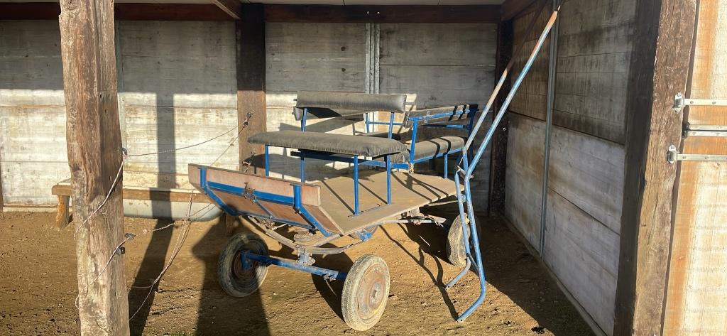 Paarden/pony koets, Dieren en Toebehoren, Gebruikt, Overige typen, Pony