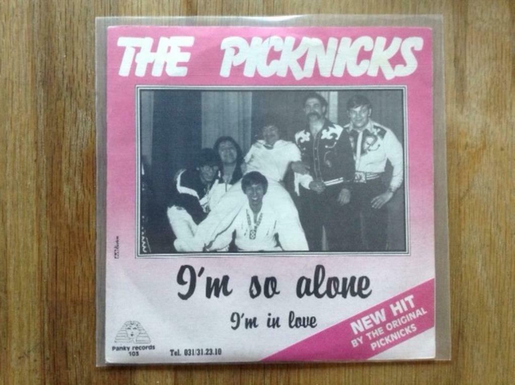 single the picknicks, Cd's en Dvd's, Vinyl Singles, Single, Pop, 7 inch, Ophalen of Verzenden