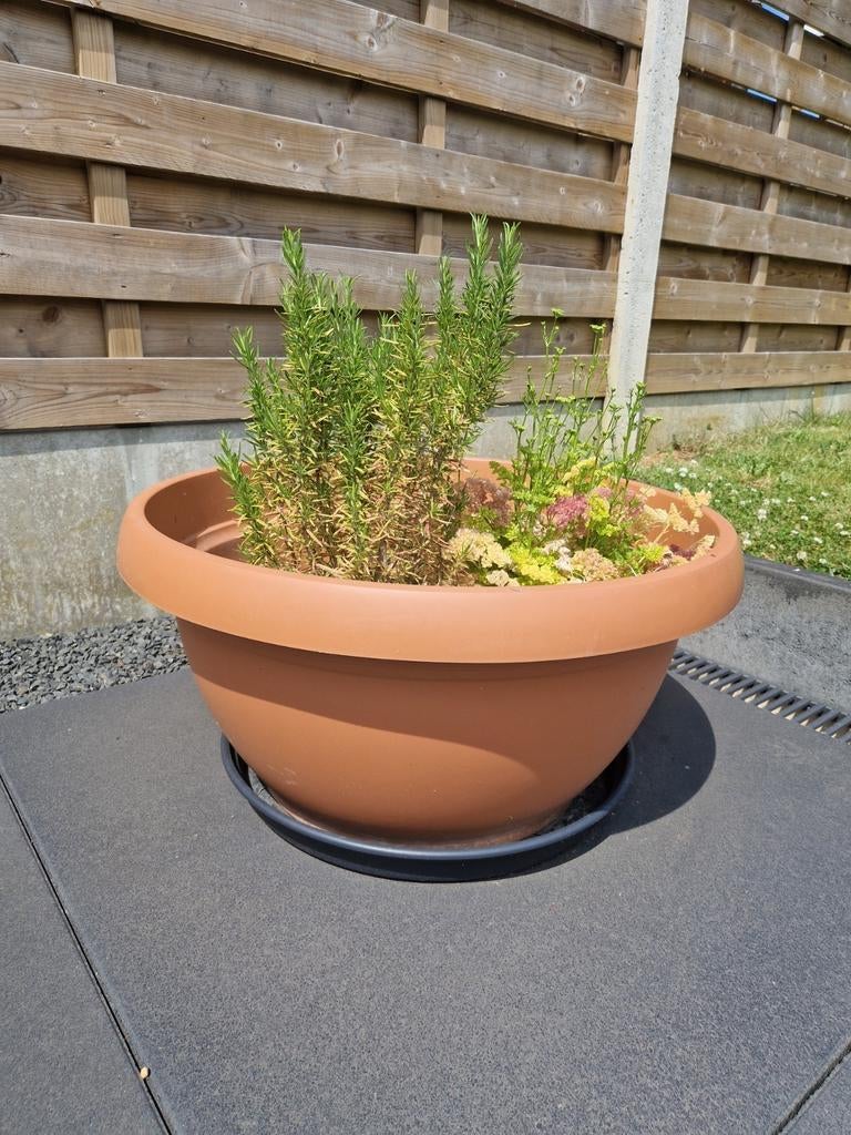Grote plantenbak met schotel (ideaal voor kruiden e.a.), Tuin en Terras, Ophalen, Gebruikt