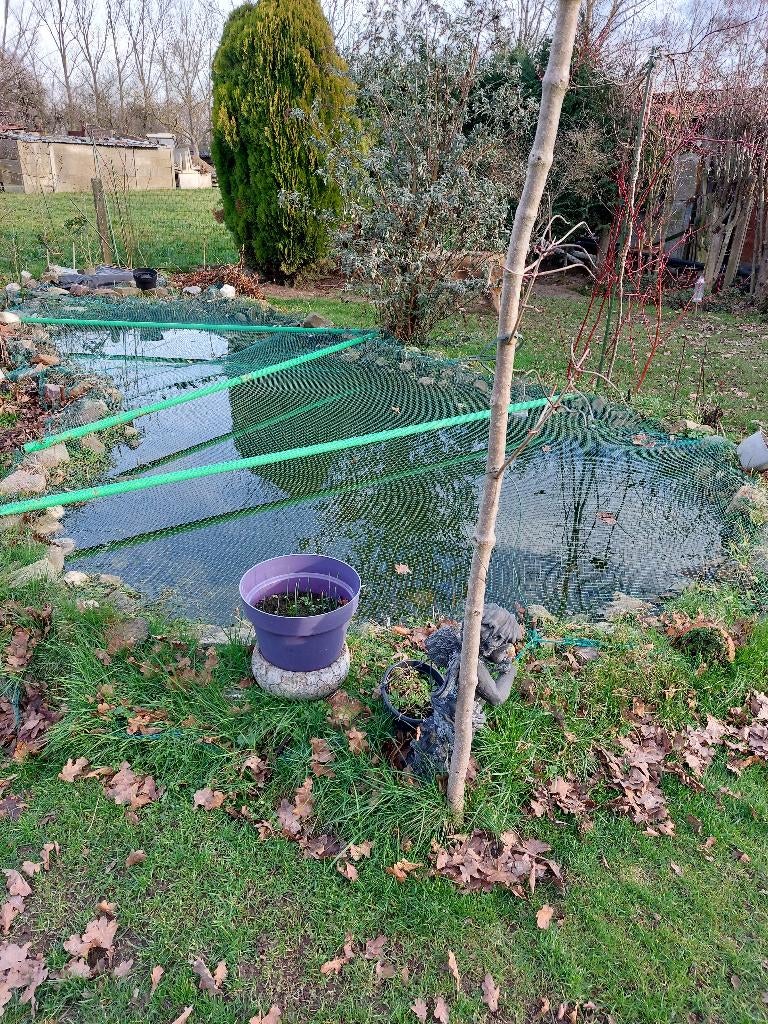 Vijver, Tuin en Terras, Ophalen, Gebruikt, Vijverrand