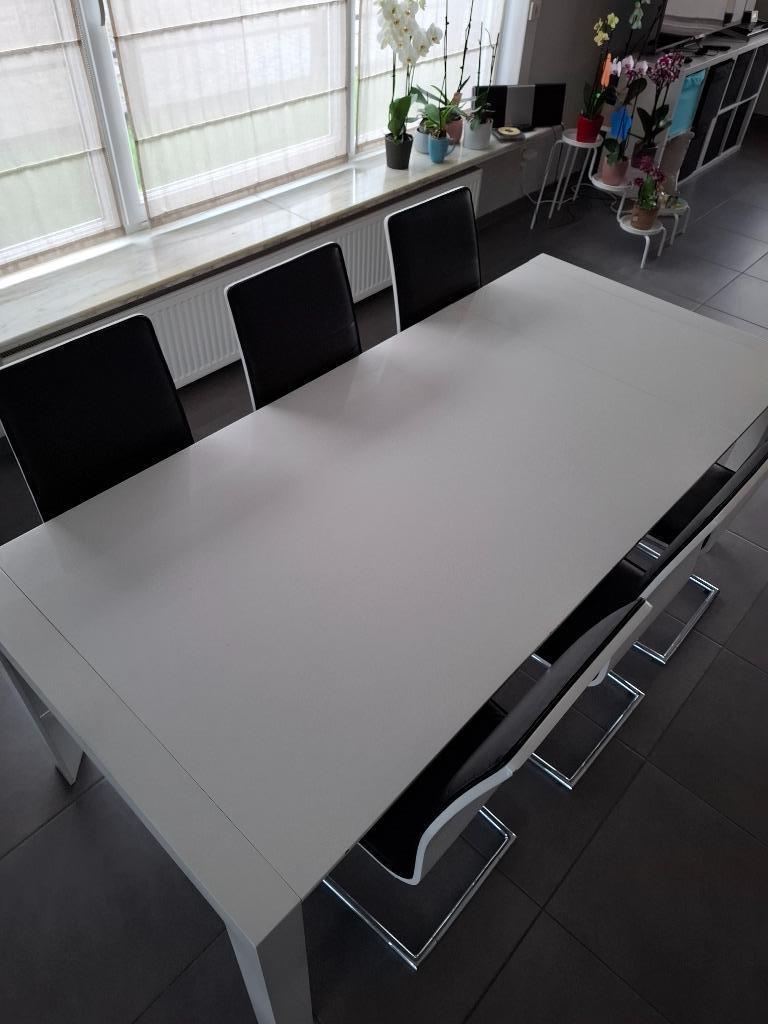 Eettafel wit met 6 bijhorende stoelen, Ophalen, Gebruikt, Vijf personen of meer, Rechthoekig