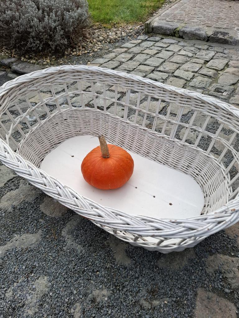 Originele witte mand. Ideaal voor grote hond., Osier, Enlèvement, Ovale, Panier