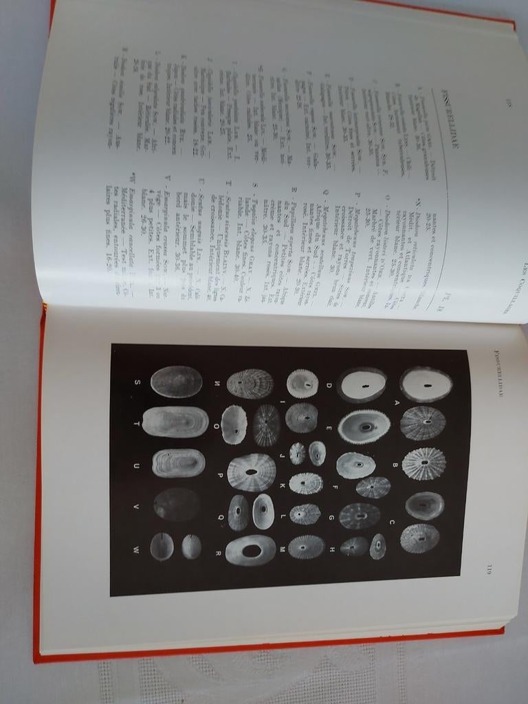 Les coquillages, Ophalen of Verzenden, Zo goed als nieuw