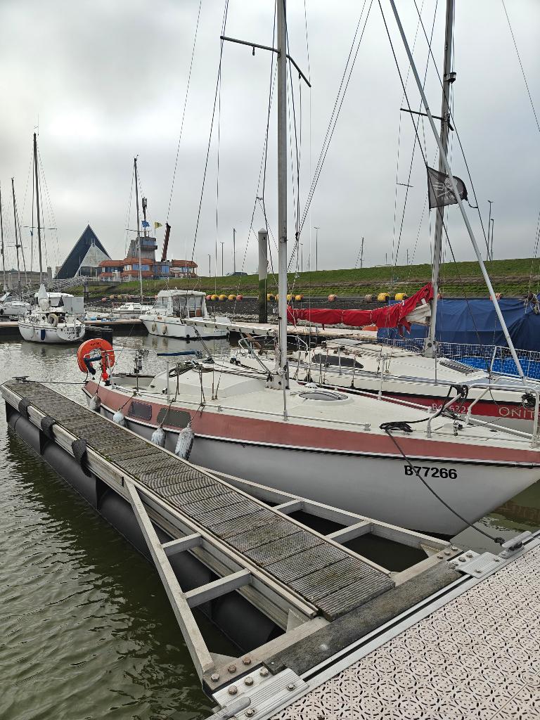Voilier, Bateau de plaisance ou Cruiser, Enlèvement, Utilisé, 6 à 9 mètres