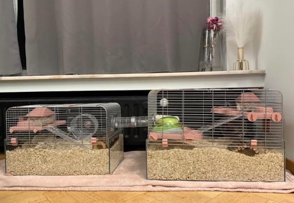 2 cages à hamster Zolux Panas 50 + 60, Moins de 60 cm, Cage, Comme neuf, Enlèvement