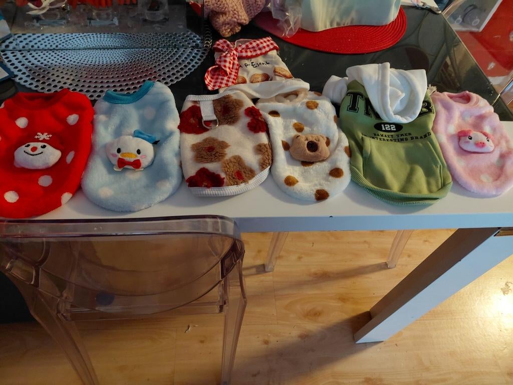 Petit pull pour petit chien de 1kg  a 1kg 500, Animaux & Accessoires, Enlèvement ou Envoi