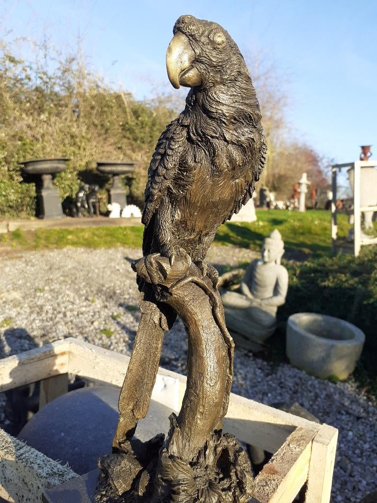 PERROQUET SUR BRANCHE EN BRONZE SIGNE SUR SOCLE, Enlèvement ou Envoi, Bronze