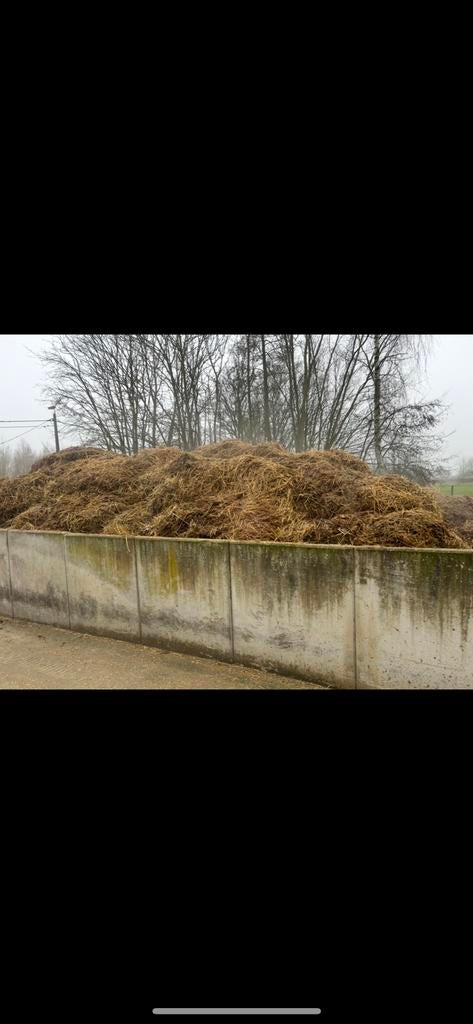 Fumier de cheval gratuit, Enlèvement, Comme neuf