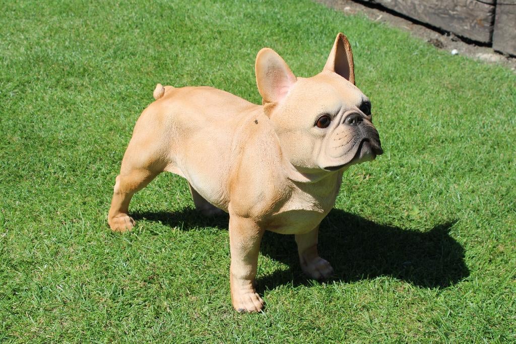 chien boule dog français debout taille naturel ., Jardin & Terrasse, Enlèvement ou Envoi, Neuf, Synthétique, Animal