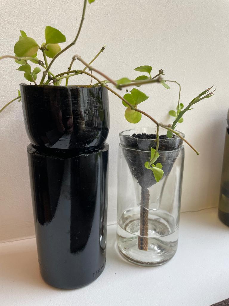 Jardinières à arrosage automatique, Neuf, Moins de 25 cm, Enlèvement, Autres matériaux